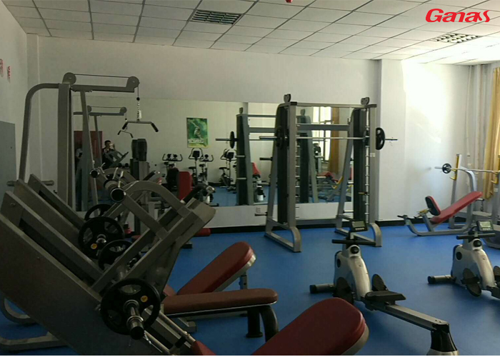内蒙古文体局健身房案例 康宜单位健身器材展示 