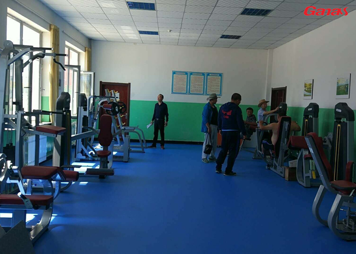 内蒙古文体局健身房案例 康宜单位健身器材展示 