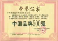 中国品牌500强